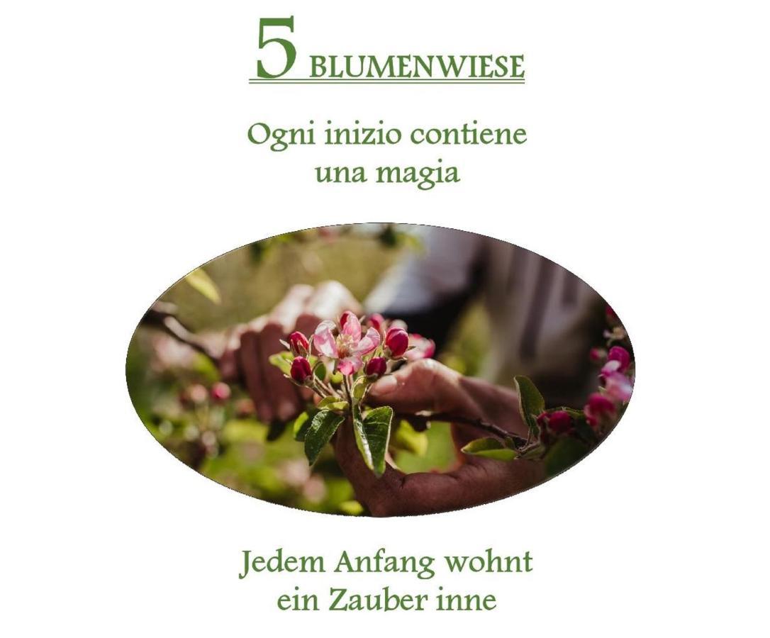 Ferienwohnungen Kaltenbachhof - Urlaub Auf Dem Biobauernhof Parcines Bagian luar foto